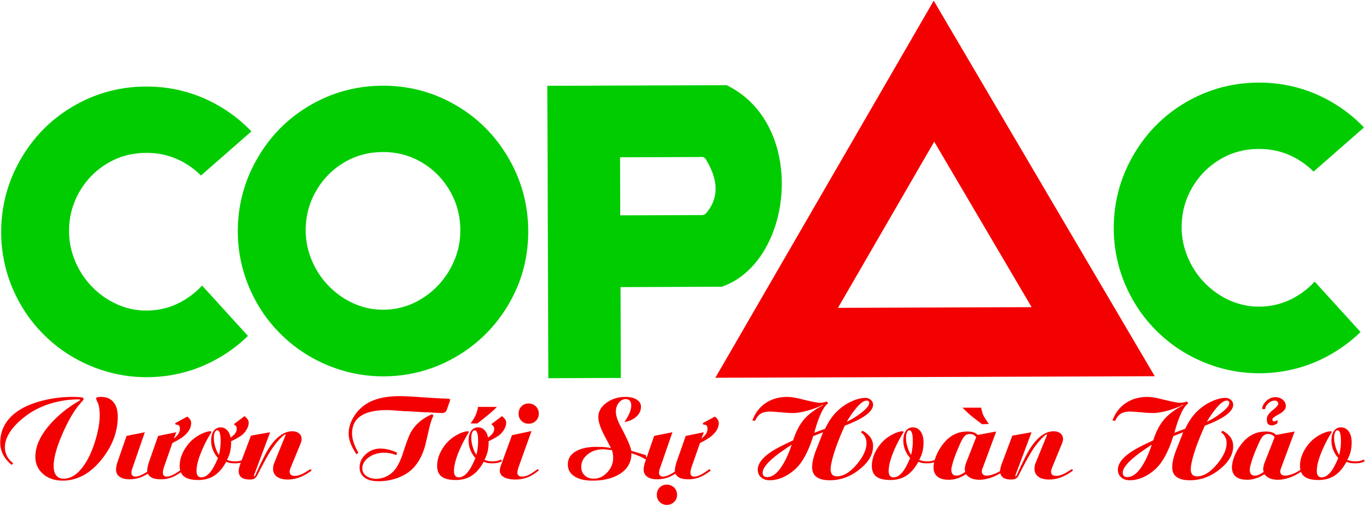 lĩnh vực hoạt động